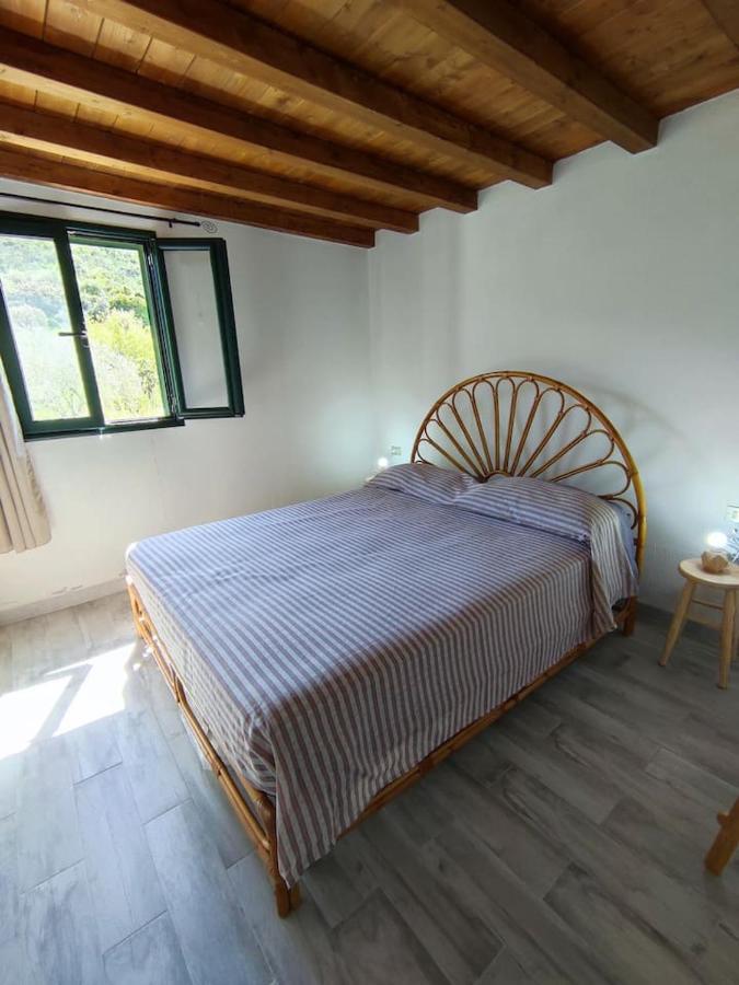 Villa Ulivella Schifoni Kültér fotó