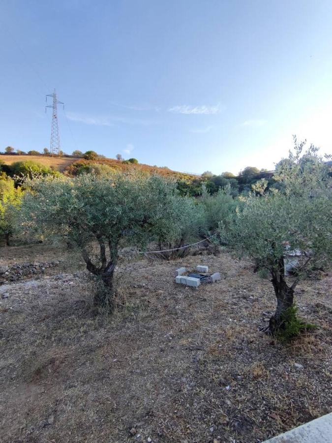 Villa Ulivella Schifoni Kültér fotó
