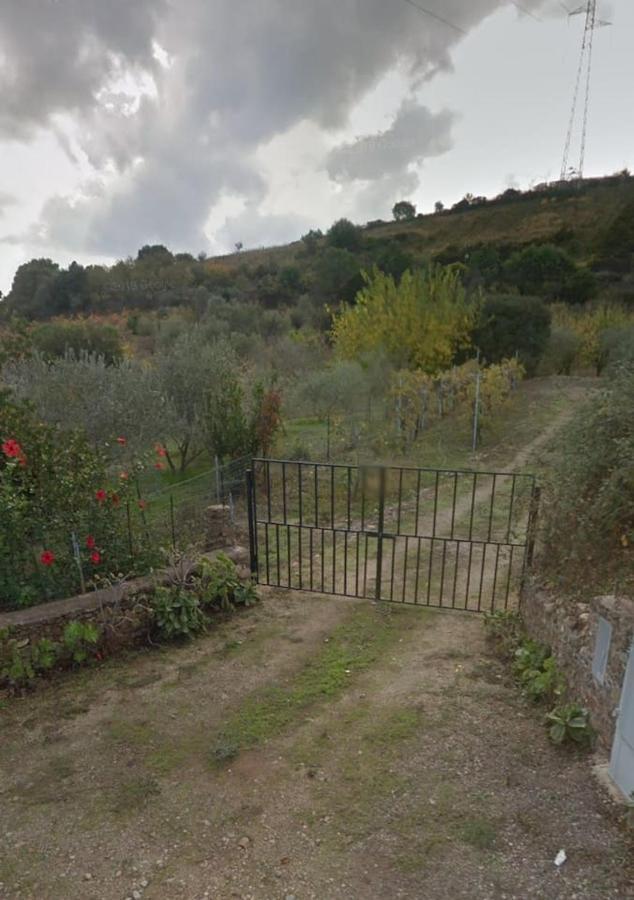 Villa Ulivella Schifoni Kültér fotó