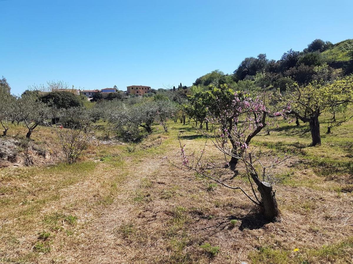 Villa Ulivella Schifoni Kültér fotó