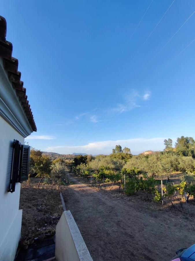 Villa Ulivella Schifoni Kültér fotó